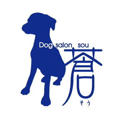 dog_salon_sou